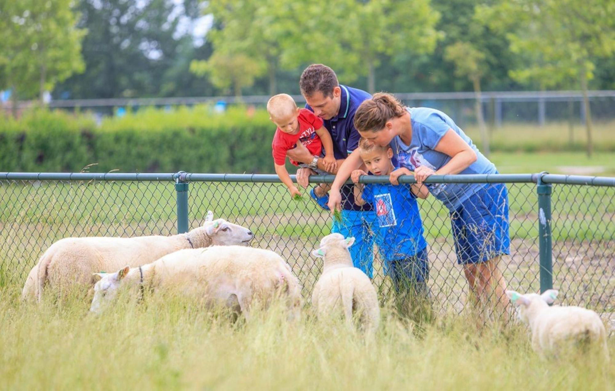 Op In Baarland